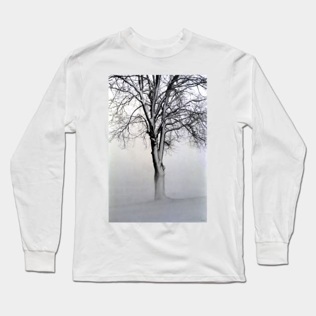 The Winter Tree Long Sleeve T-Shirt by BrianPShaw